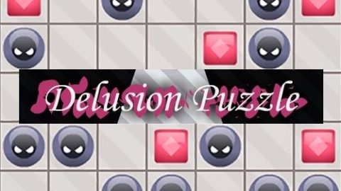 delusion puzzle