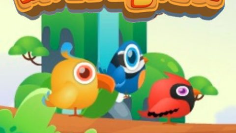 Birds Kyodai