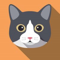 Gatos