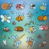 Insectos