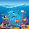 Peces