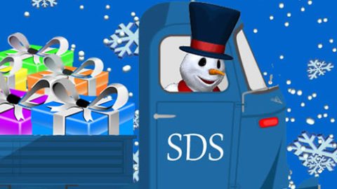 Snowy Delivery