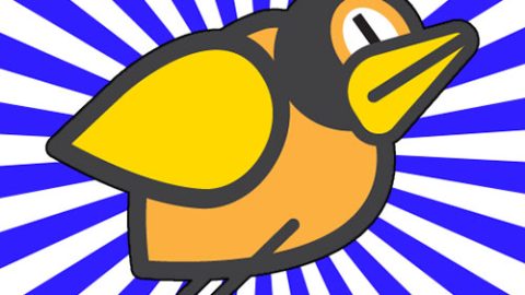Flap Flap