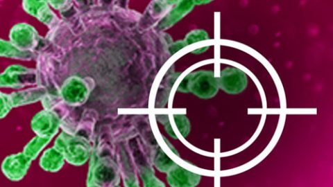 Destruir el Virus