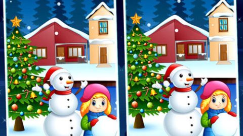 Diferencias de Invierno Navideño