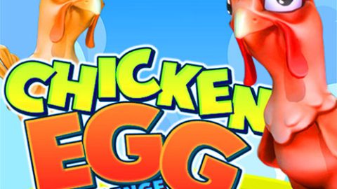 Chicken Egg Challenge
