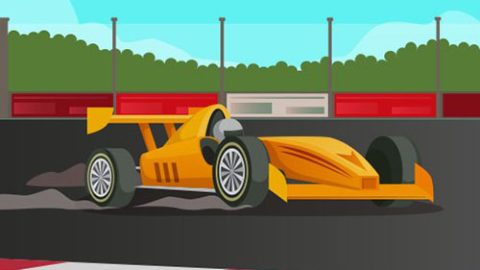 Formula 1 Driver
