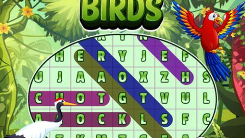 Sopa de Letras de Aves en Ingles