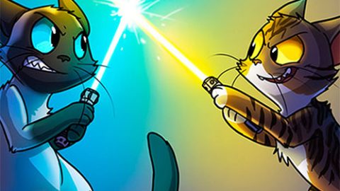Cats Arena