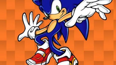 Sonic Bridge Challenge