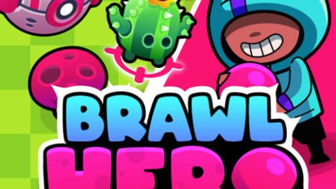 Brawl Hero