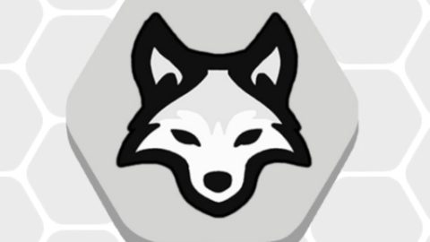 Sheep vs Wolf