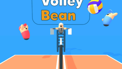 Volley Bean