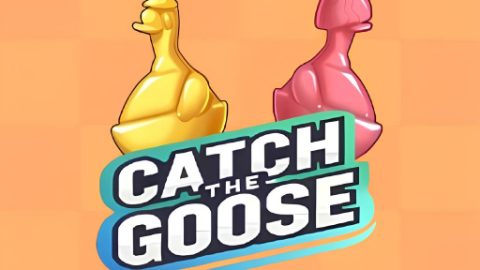 Catch The Goose