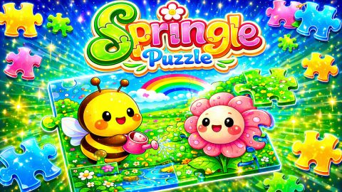 Springle Puzzle