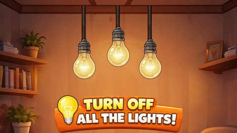 Light Bulb Puzzle