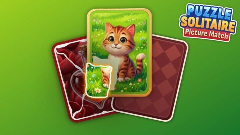 Juego Puzzle Solitaire Picture Match